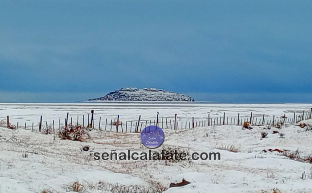 calafate nieve isla